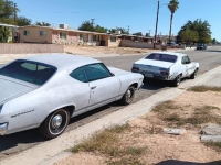 1969 Chevrolet Chevelle for sale in Michigan (ID-121350)