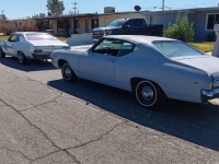 1969 Chevrolet Chevelle for sale in Michigan (ID-121350)