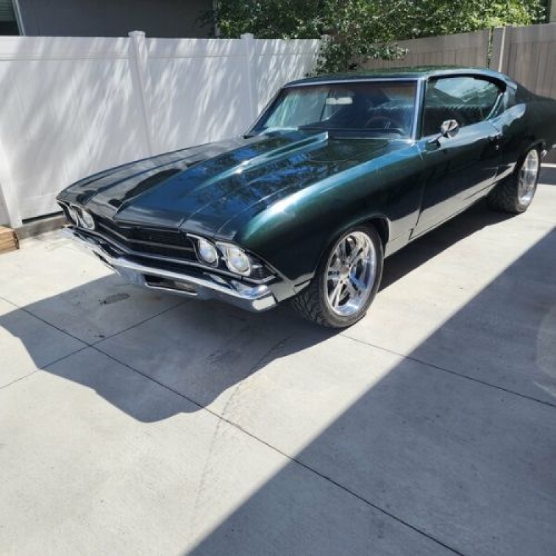 1969 Chevrolet Chevelle for sale in Michigan (ID-121694) 1969 Chevrolet Chevelle for sale in Michigan (ID-121694)