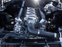 1969 Chevrolet Chevelle for sale in Michigan (ID-121799)