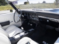 1969 Chevrolet Chevelle for sale in Michigan (ID-121799)