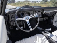 1969 Chevrolet Chevelle for sale in Michigan (ID-121799)
