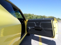 1969 Chevrolet Chevelle SS for sale in Michigan (ID-123279)