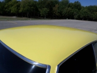 1969 Chevrolet Chevelle SS for sale in Michigan (ID-123279)