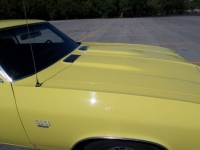 1969 Chevrolet Chevelle SS for sale in Michigan (ID-123279)