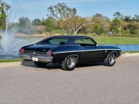 1969 Chevrolet Chevelle for sale in Riverhead, New York (ID-124088)