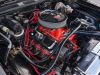 1969 Chevrolet Chevelle for sale in Riverhead, New York (ID-124088)