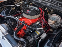 1969 Chevrolet Chevelle for sale in Riverhead, New York (ID-124088)