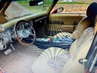 1969 Chevrolet Chevelle for sale in Michigan (ID-125247)