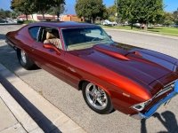 1969 Chevrolet Chevelle for sale in Michigan (ID-125247)
