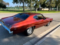 1969 Chevrolet Chevelle for sale in Michigan (ID-125247)