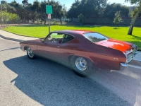 1969 Chevrolet Chevelle for sale in Michigan (ID-125247)