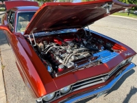 1969 Chevrolet Chevelle for sale in Michigan (ID-125247)