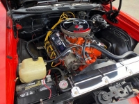 1969 Chevrolet Chevelle for sale in Riverhead, New York (ID-125421)
