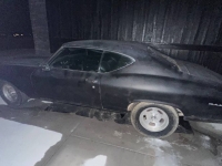 1969 Chevrolet Chevelle for sale in Michigan (ID-125960)