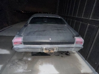 1969 Chevrolet Chevelle for sale in Michigan (ID-125960)