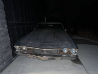 1969 Chevrolet Chevelle for sale in Michigan (ID-125960)