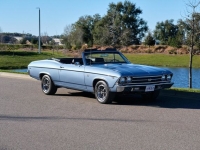 1969 Chevrolet Chevelle for sale in Riverhead, New York (ID-126301)