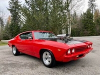 1969 Chevrolet Chevelle for sale in Michigan (ID-126656)