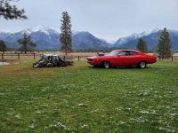 1969 Chevrolet Chevelle for sale in Michigan (ID-126656)