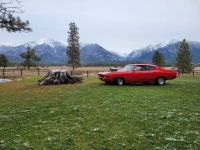 1969 Chevrolet Chevelle for sale in Michigan (ID-126656)