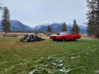 1969 Chevrolet Chevelle for sale in Michigan (ID-126656)