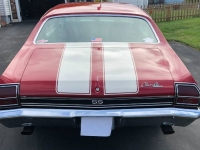 1969 Chevrolet Chevelle for sale in Michigan (ID-126845)