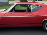 1969 Chevrolet Chevelle for sale in Michigan (ID-126845)
