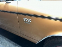 1969 Chevrolet Chevelle SS for sale in Addison, Illinois (ID-126915)