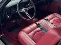 1969 Chevrolet Chevelle SS for sale in Riverhead, New York (ID-127169)