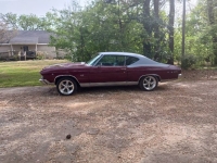 1969 Chevrolet Chevelle for sale in Michigan (ID-128162)