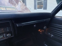 1969 Chevrolet Chevelle for sale in Michigan (ID-128162)