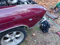 1969 Chevrolet Chevelle for sale in Michigan (ID-128162)
