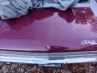 1969 Chevrolet Chevelle for sale in Michigan (ID-128162)