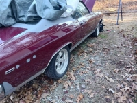 1969 Chevrolet Chevelle for sale in Michigan (ID-128162)