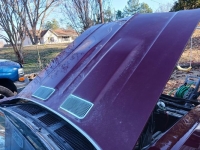 1969 Chevrolet Chevelle for sale in Michigan (ID-128162)