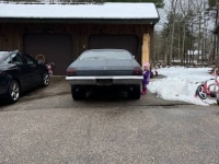 1969 Chevrolet Chevelle for sale in Michigan (ID-128634)