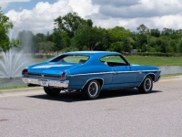 1969 Chevrolet Chevelle SS for sale in Riverhead, New York (ID-129667)