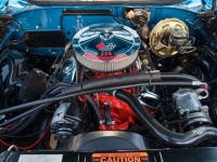 1969 Chevrolet Chevelle SS for sale in Riverhead, New York (ID-129667)