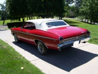 1969 Chevrolet Chevelle for sale in Michigan (ID-129965)
