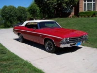 1969 Chevrolet Chevelle for sale in Michigan (ID-129965)