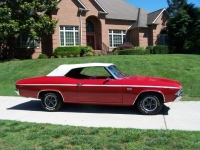 1969 Chevrolet Chevelle for sale in Michigan (ID-129965)