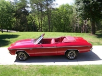 1969 Chevrolet Chevelle for sale in Michigan (ID-129965)