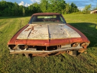 1969 Chevrolet Chevelle for sale in Michigan (ID-130424)