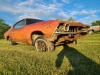 1969 Chevrolet Chevelle for sale in Michigan (ID-130424)