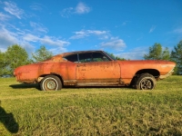 1969 Chevrolet Chevelle for sale in Michigan (ID-130424)