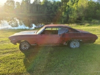 1969 Chevrolet Chevelle for sale in Michigan (ID-130424)