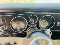 1969 Chevrolet Chevelle for sale in Michigan (ID-131316)