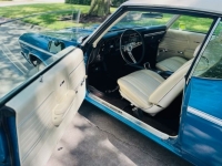 1969 Chevrolet Chevelle for sale in Michigan (ID-131316)