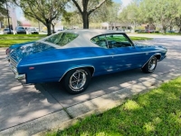 1969 Chevrolet Chevelle for sale in Michigan (ID-131316)